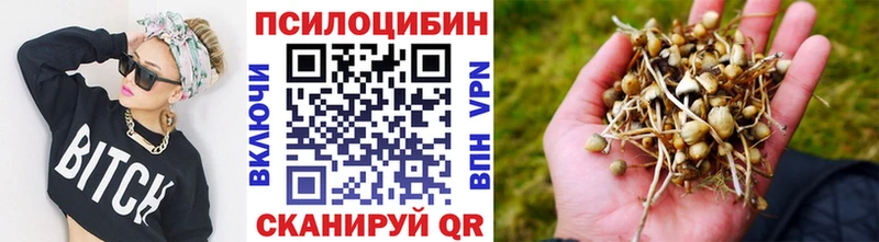 Псилоцибиновые грибы мицелий Новороссийск