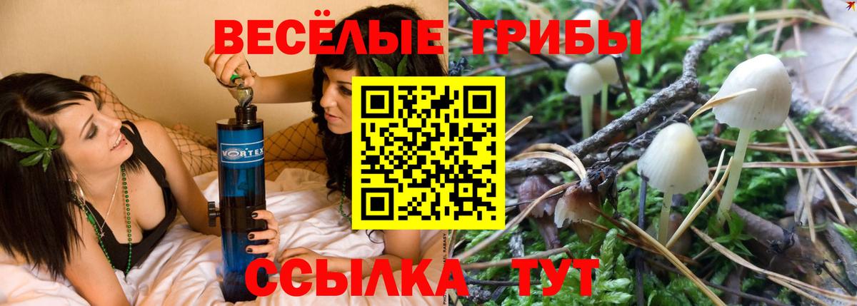 Галлюциногенные грибы ЛСД  Псилоцибиновые грибы мухоморы  Новороссийск  Вход с VPN 